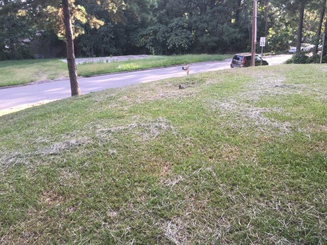 1129 Wellons Dr, Durham, NC 27703