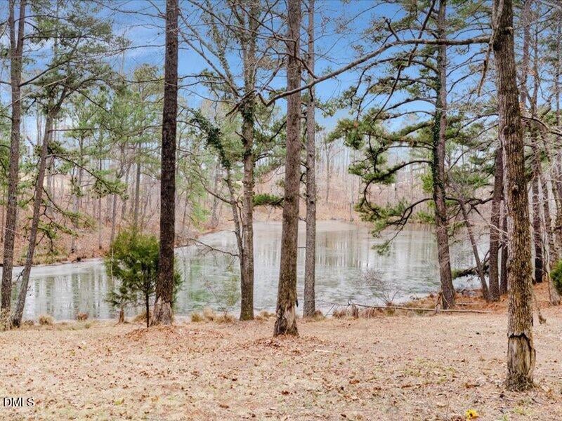 113 Country Brook Ln, Youngsville, NC 27596