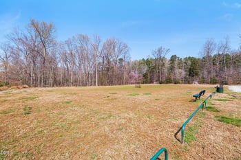 113 Hatterleigh Ave, Hillsborough, NC 27278