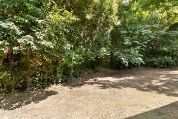 113 Herbert St, Durham, NC 27703