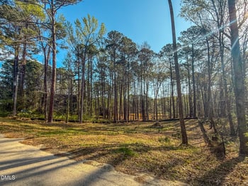 113 Laurston Ct Lot 27, Durham, NC 27712