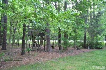 113 Parkwalk Ct, Cary, NC 27519