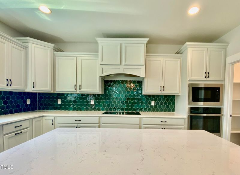 1132 Logperch Way #1841, Wendell, NC 27591