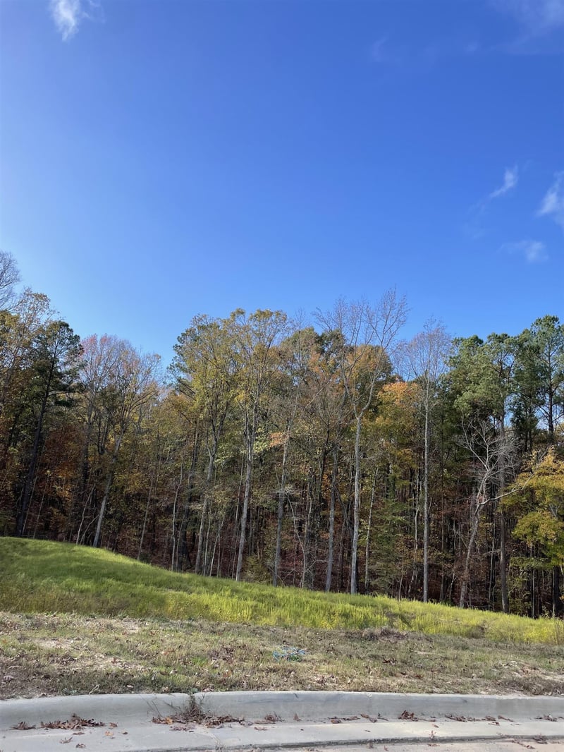 1136 Destination Dr, Apex, NC 27523