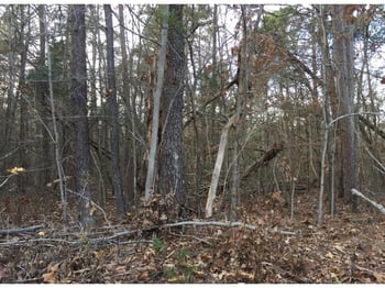 1139 Terrell St, Mebane, NC 27302