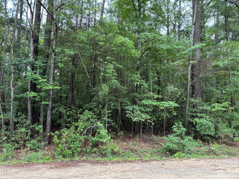 114 Basin St, Fuquay Varina, NC 27526