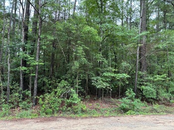 114 Basin St Lot 11M, Fuquay Varina, NC 27526