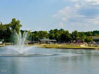 114 Bream Ct, Angier, NC 27501