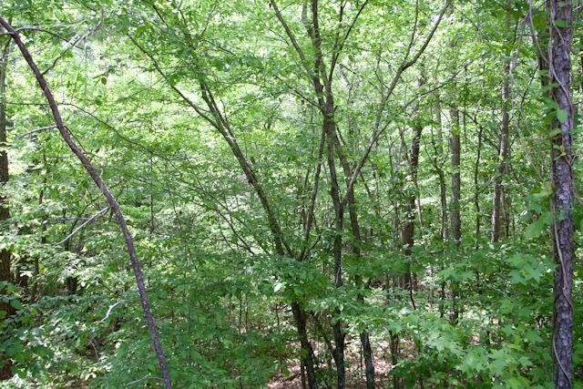 114 Citation Cir Lot 22, Durham, NC 27704