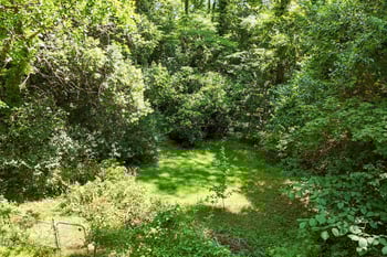 114 Clarendon Crescent, Raleigh, NC 27610