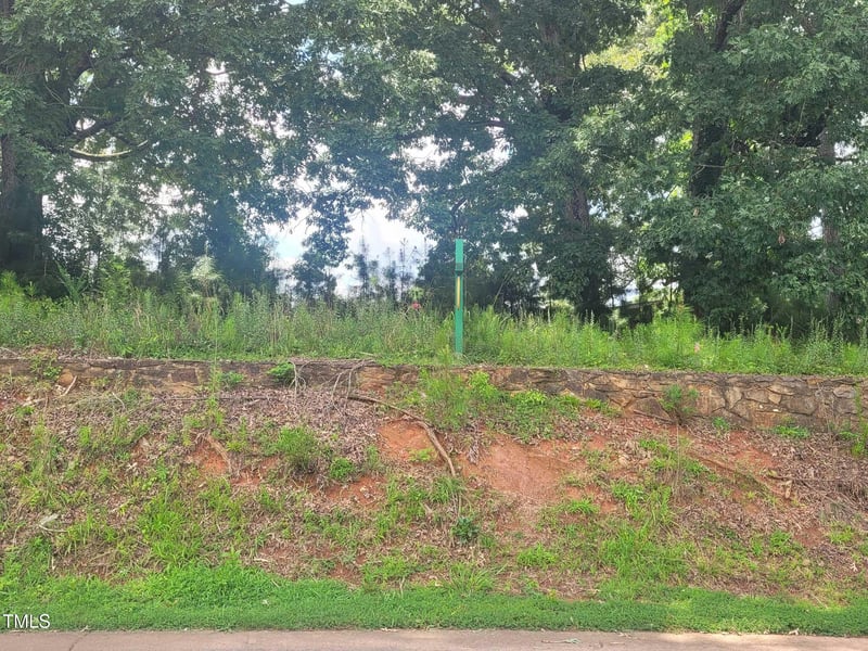 114 Collins Ave, Hillsborough, NC 27278