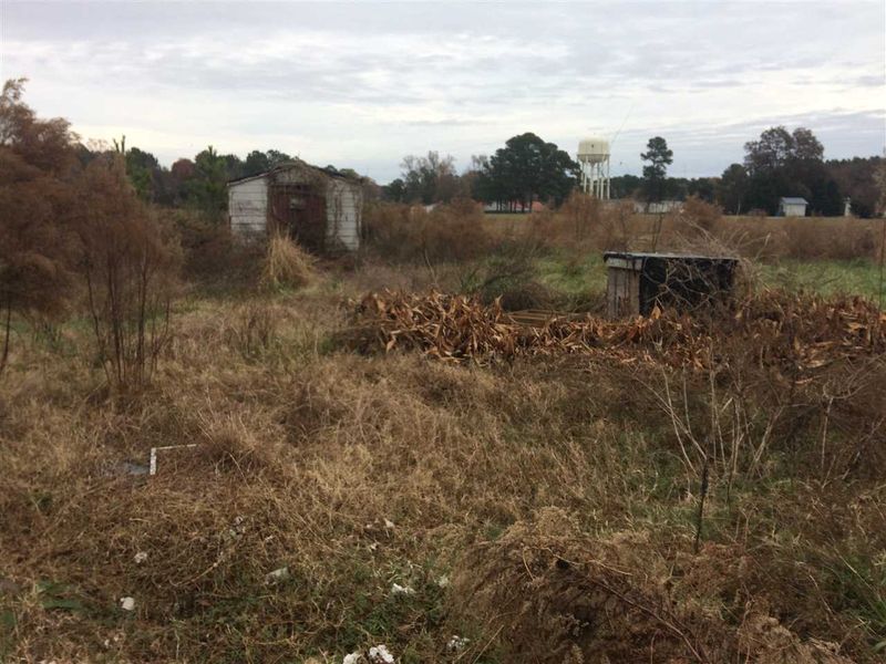 114 Troy Parker Ln, Dunn, NC 28334
