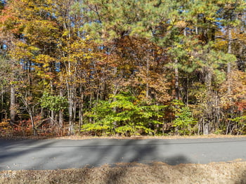 11408 Claybank Pl Lot 27, Raleigh, NC 27613