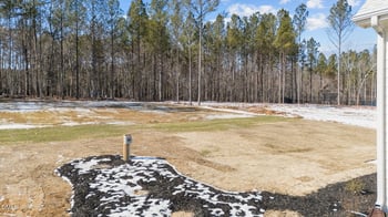 115 Cherry Bark Dr, Youngsville, NC 27596