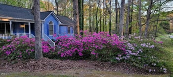 115 Felicia Ct, Clayton, NC 27520