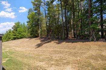 115 Golden Meadow Ct, Durham, NC 27704