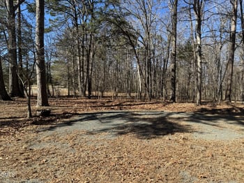 115 Rainey , Hillsborough, NC 27278