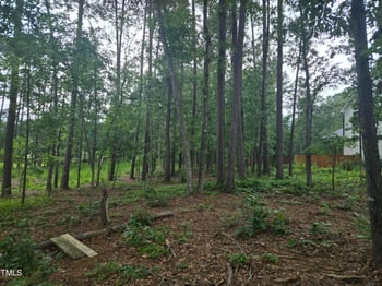 115 Stella Ct, Morrisville, NC 27560
