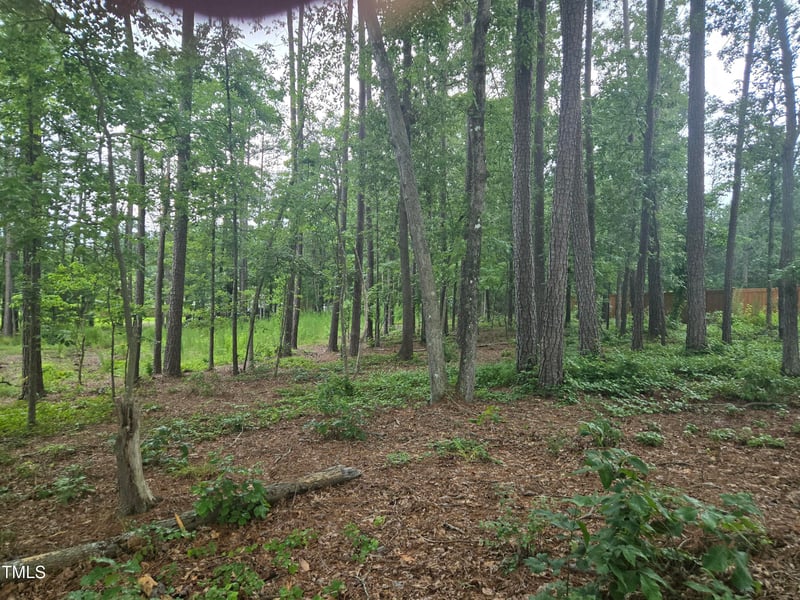115 Stella Ct, Morrisville, NC 27560