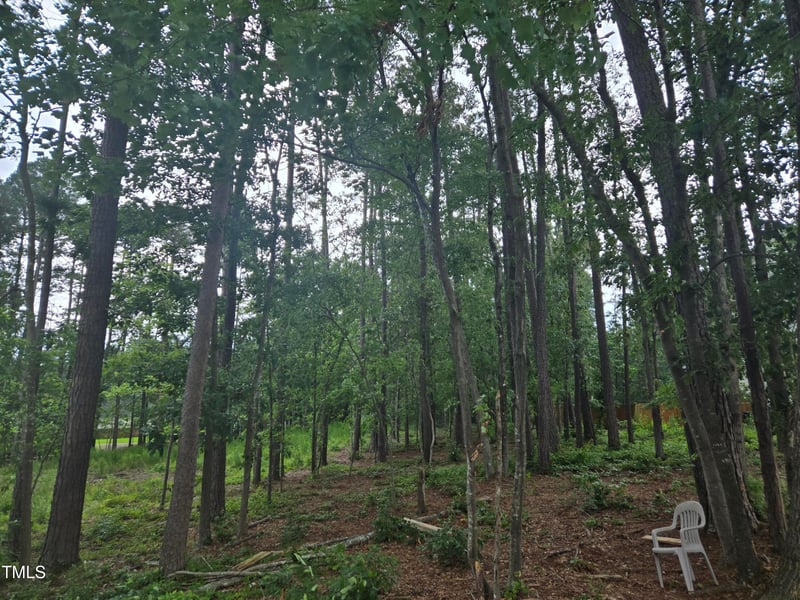 115 Stella Ct, Morrisville, NC 27560