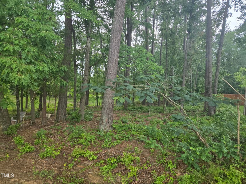 115 Stella Ct, Morrisville, NC 27560