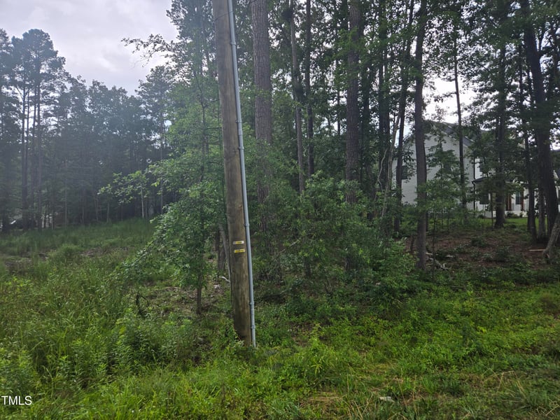 115 Stella Ct, Morrisville, NC 27560