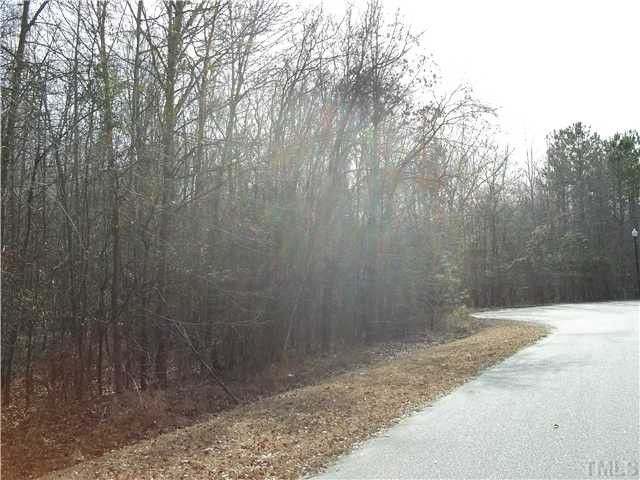 115 Teasel Ct Lot 14A, Clayton, NC 27527