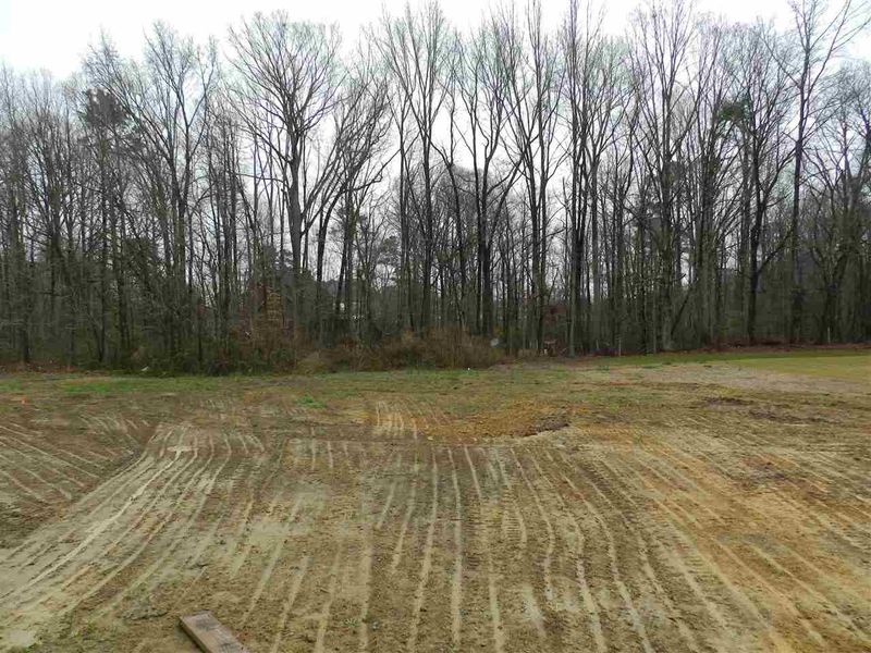 115 Willard Wood Rn, Benson, NC 27504