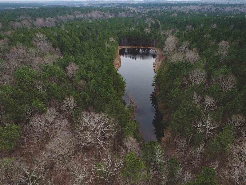 115.6 Ac. Osgood Rd, Sanford, NC 27519