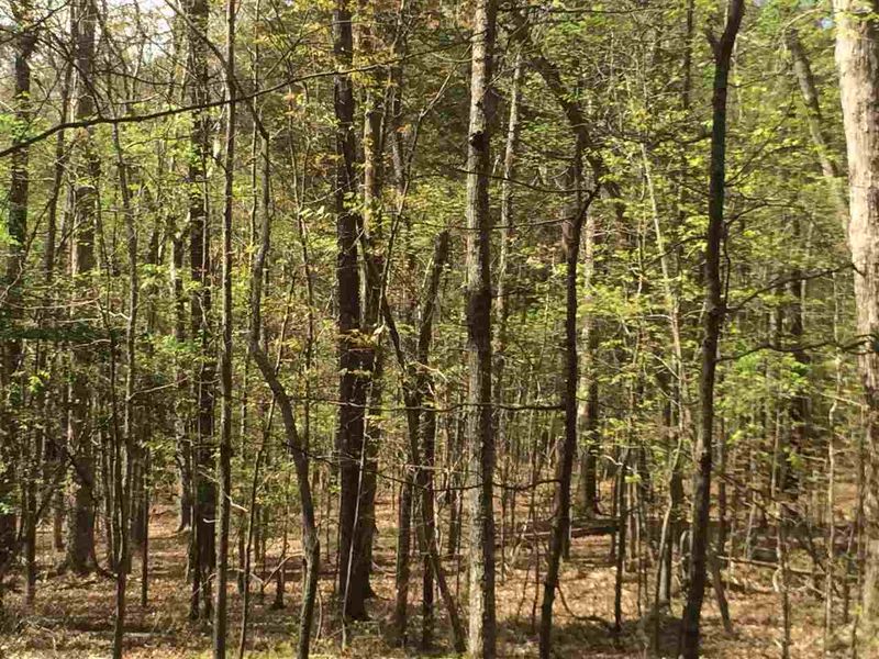 1150 Jordan Hills Loop Lot 3, Chapel Hill, NC 27517
