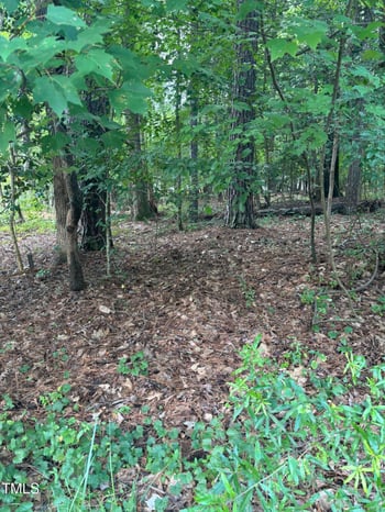 116 Blackfoot Dr, Louisburg, NC 27549