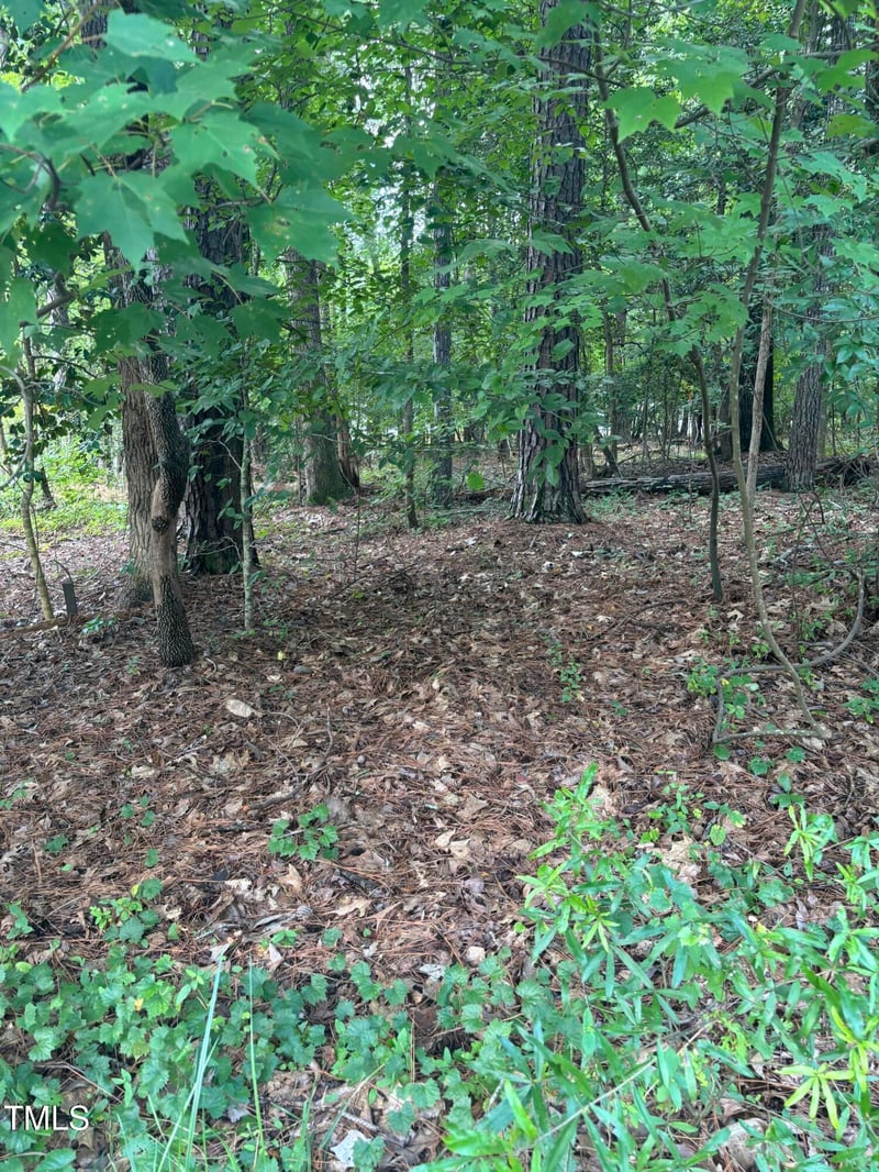 116 Blackfoot Dr, Louisburg, NC 27549
