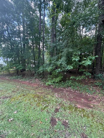116 Blackfoot Dr, Louisburg, NC 27549