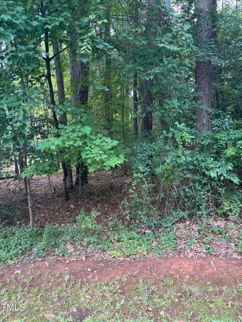 116 Blackfoot Dr, Louisburg, NC 27549