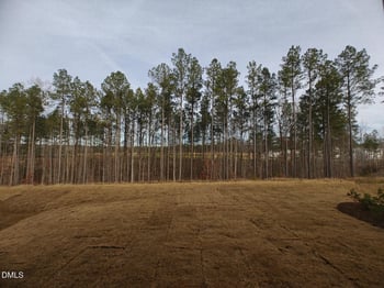 116 Corapeake Way, Holly Springs, NC 27539