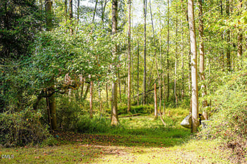 116 Meadow Ridge Ln, Willow Springs, NC 27592