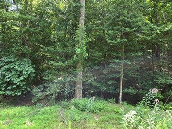 116 Navajo Dr, Louisburg, NC 27549