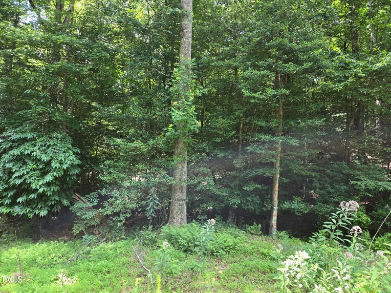 116 Navajo Dr, Louisburg, NC 27549