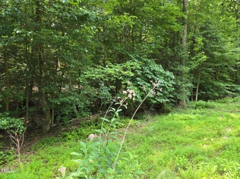 116 Navajo Dr, Louisburg, NC 27549