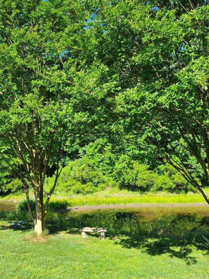 116 Trayesan Dr, Holly Springs, NC 27540