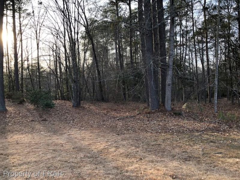 1161 Falling Strm, Sanford, NC 27332