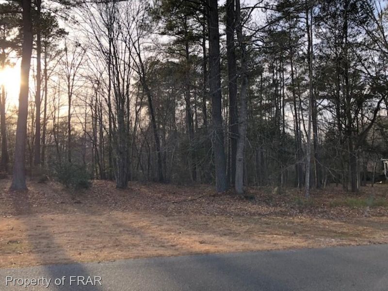 1161 Falling Strm, Sanford, NC 27332