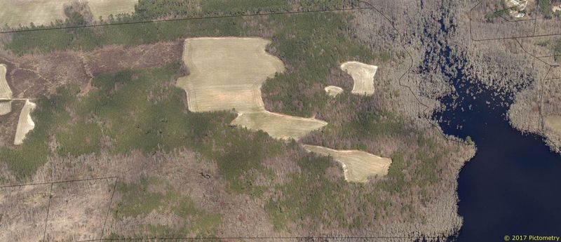 1162 Maggie Way, Wendell, NC 27591