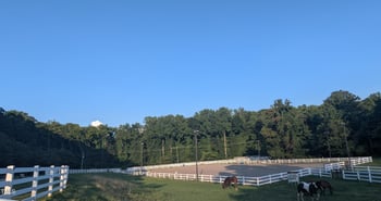 11636 Appaloosa Rn, Raleigh, NC 27613