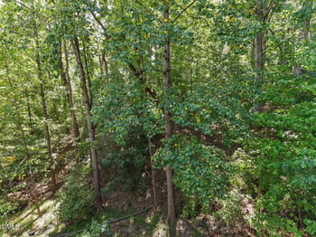 117 Abingdon Ct, Cary, NC 27513