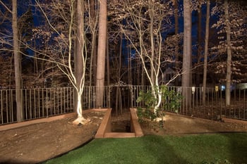 117 Campbell Ln, Chapel Hill, NC 27514