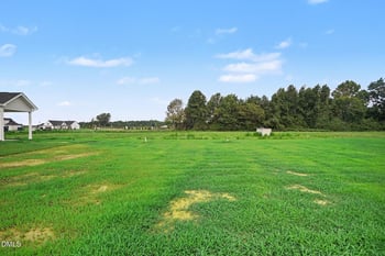 117 Margot Manor Dr (lot 88), Benson, NC 27504