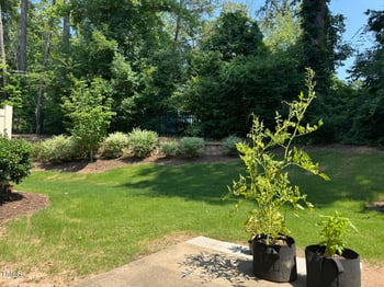 117 Olivet Loop, Cary, NC 27519