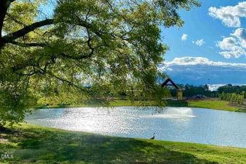 117 Raccoon Pa, Holly Springs, NC 27540