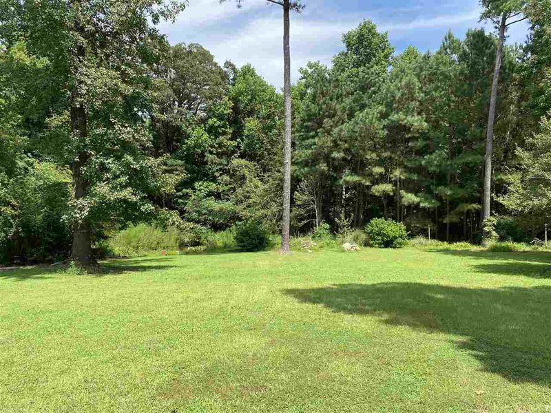 117 Sycamore Ct, Benson, NC 27504